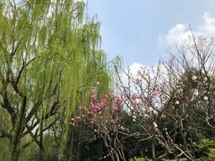 -新江湾城公园
