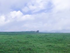 -空中草原