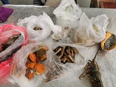 -新鸿港水果市场