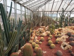 -南通洲际绿博园