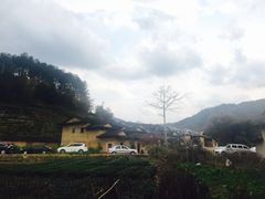 -福建土楼（华安）旅游区•大地土楼群