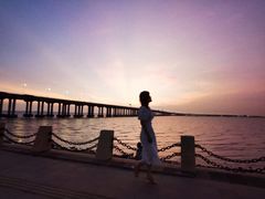 -宝安西湾红树林湿地公园