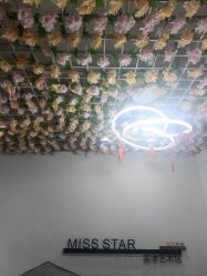 -MISS STAR·半永久纹眉·发际线·美瞳线
