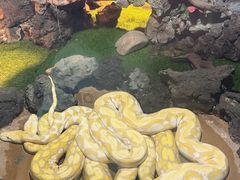 -杭州野生动物世界