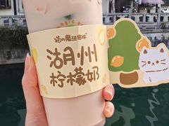 -猫的魔法密林(衣裳街店)