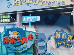 -海合安武汉极地海洋公园