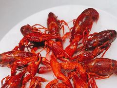 -红盔甲·小龙虾(天钥桥店)