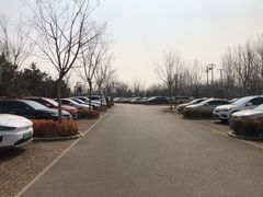 -东郊湿地公园