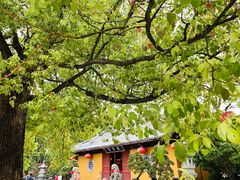-龙华寺