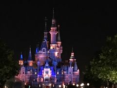 炸土豆条-宝莱纳餐厅(滨江店)