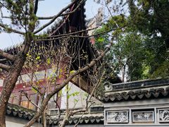 -秋霞圃