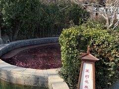-徂徕山森林康养度假谷温泉