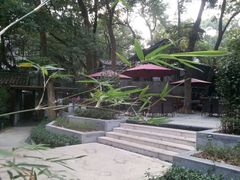 android_upload_pic-西湖茶墅