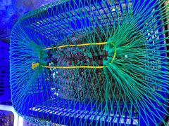 -洛东土菜馆(建国北路店)