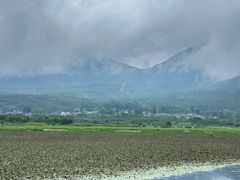 -腾冲北海湿地