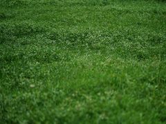 -杭州植物园