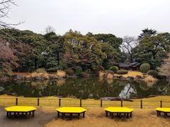 景点-东京国立博物馆