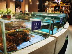 水产区-旺顺阁海鲜广场(亚运村店)