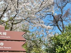 -苏州上方山国家森林公园