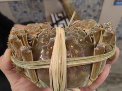 -水岸居湖景农家乐·阳澄湖大闸蟹