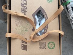 -马陆小张葡萄园农家乐