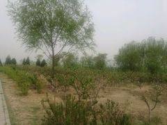 -门城湖公园