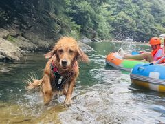-安吉龙王山峡谷漂流