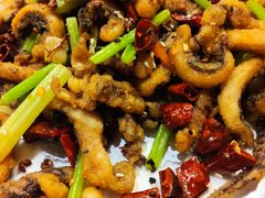 干煸鱿鱼须-天津卫码头(南开大悦城店)