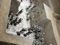 -法门文化景区