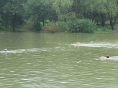 -紫霞湖公园
