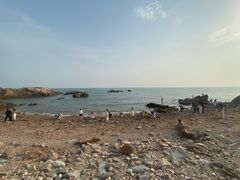 -小麦岛公园