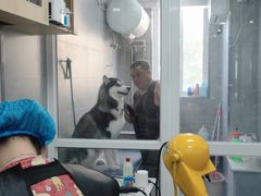 -宠福鑫康馨动物医院·骨科·眼科