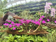 -北京植物园-展览温室