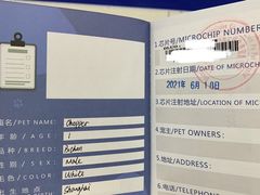 -申普宠物医院·心脏介入·心血管微创(总院)