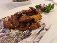 澳洲烤排-乾隆美食·本帮菜(黄河路店)