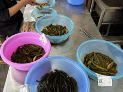 -彭大姐老店黄辣丁(新津店)