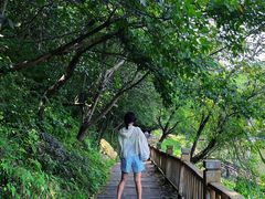 -素山寺森林公园