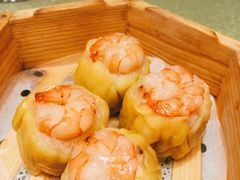 干蒸烧卖-龙庭华宴·粤菜·早茶