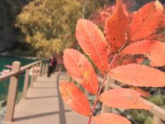 -叠溪松坪沟景区
