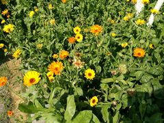 -韶关经律论国际酒店温泉