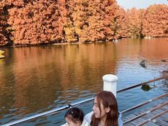 -上海海湾国家森林公园