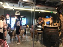 -more than meow吴止猫主题餐厅(承德 中船汇店)