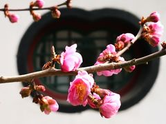 -北海公园
