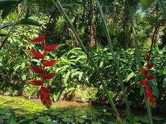 -中国科学院西双版纳热带植物园