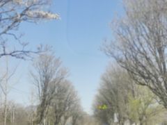 -碓臼峪自然风景区