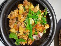 -鸽小宝(深圳首店)