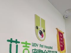 -艾吉宠物医院·疑难杂症转诊中心·猫友好(碧江路院)