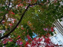 -北京友谊宾馆·俄罗斯餐厅