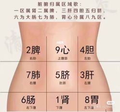 -香薇妮丝女子减肥院