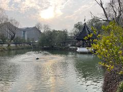 -上海醉白池公园
